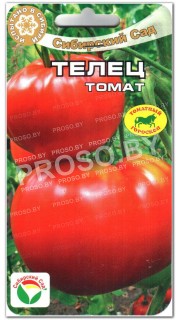 Томат Телец