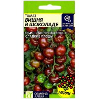 Томат Вишня в шоколаде