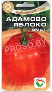 Томат Адамово яблоко
