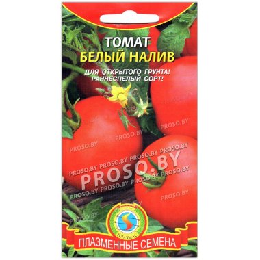 Томат Белый налив 241