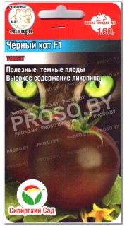 Томат Черный кот F1
