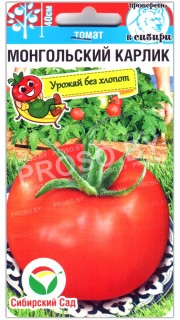 Томат Монгольский карлик