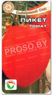 Томат Пикет