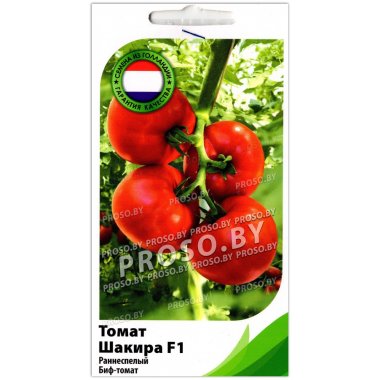 Томат Шакира F1