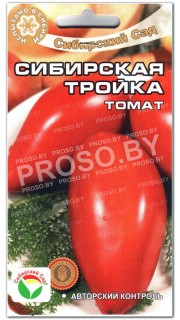 Томат Сибирская тройка