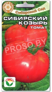 Томат Сибирский козырь