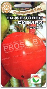 Томат Тяжеловес Сибири