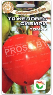 Томат Тяжеловес Сибири