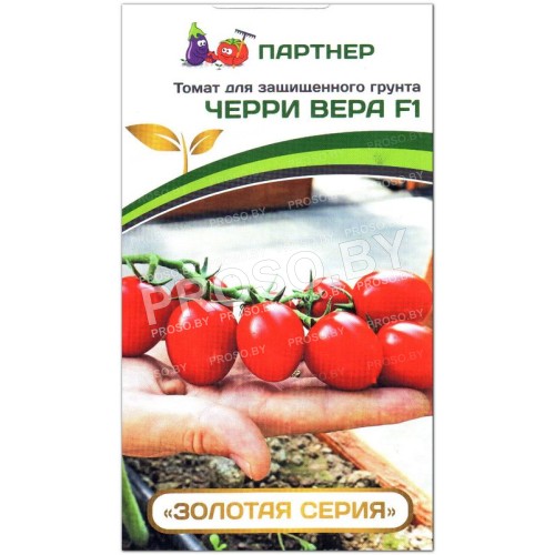 Томат Черри Вера F1