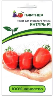 Томат Янтарь F1