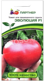 Томат Эволюция F1