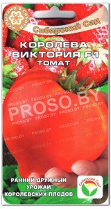Томат Королева Виктория F1