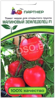 Томат черри Малиновый земледелец F1
