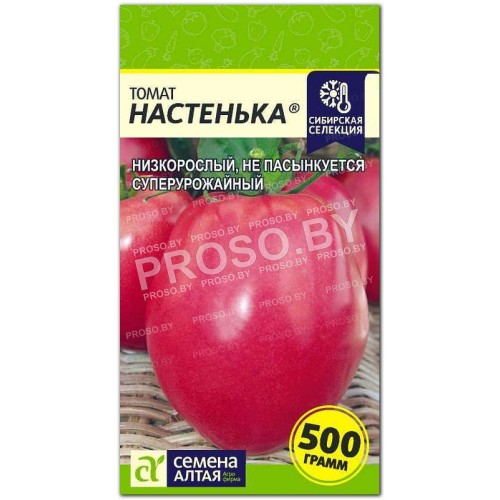 Томат Настенька