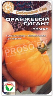 Томат Оранжевый гигант