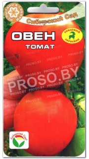 Томат Овен