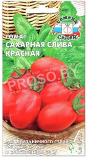 Томат Сахарная слива красная