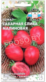 Томат Сахарная слива малиновая