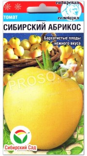 Томат Сибирский абрикос