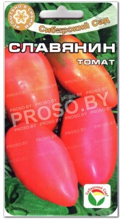 Томат Славянин