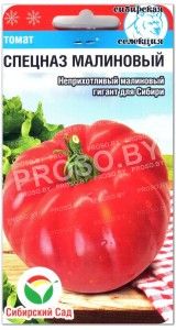 Томат Спецназ малиновый