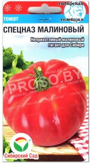 Томат Спецназ малиновый