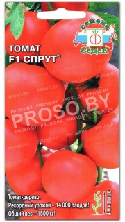 Томат Спрут F1