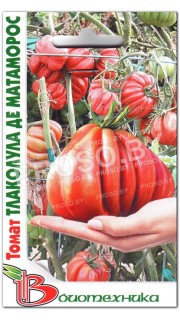 Томат Тлаколула де Матаморос