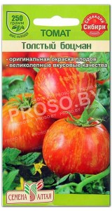 Томат Толстый боцман