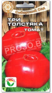 Томат Три толстяка