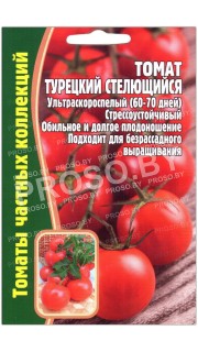 Томат Турецкий стелющийся