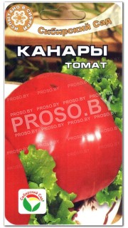 Томат Канары