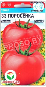 Томат 33 поросенка