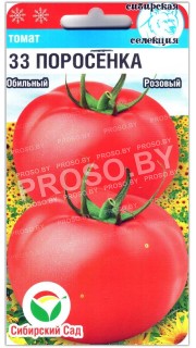 Томат 33 поросенка
