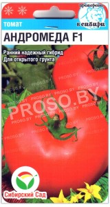 Томат Андромеда F1