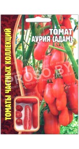 Томат Аурия Адам