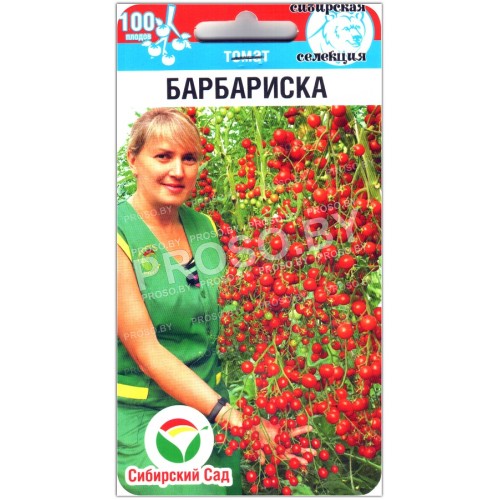 Томат Барбариска