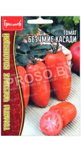 Томат Безумие касади