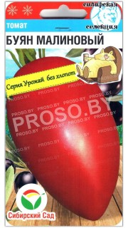 Томат Буян малиновый