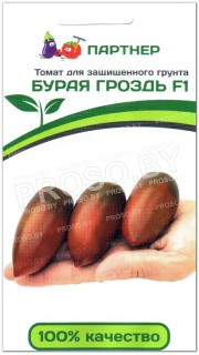 Томат Бурая гроздь F1