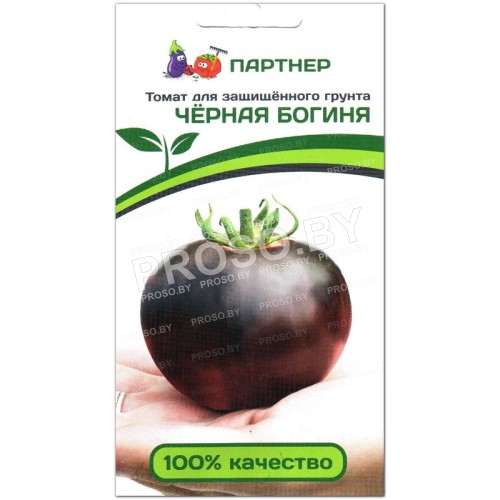 Томат Черная богиня