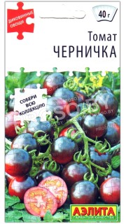 Томат Черничка