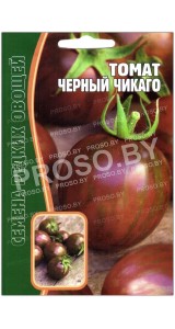 Томат Черный Чикаго
