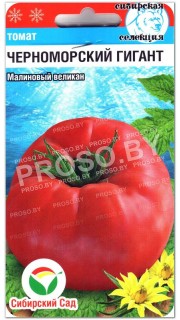 Томат Черноморский гигант