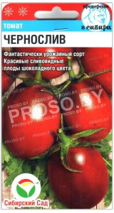 Томат Чернослив