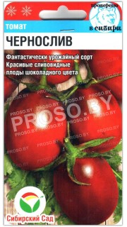 Томат Чернослив