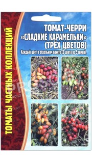 Томат черри Сладкие карамельки, трехцветный