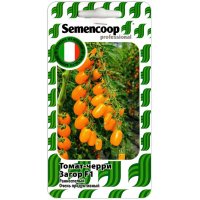 Томат черри Загор F1