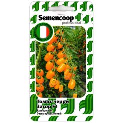 Томат черри Загор F1