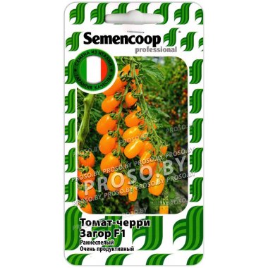 Томат черри Загор F1